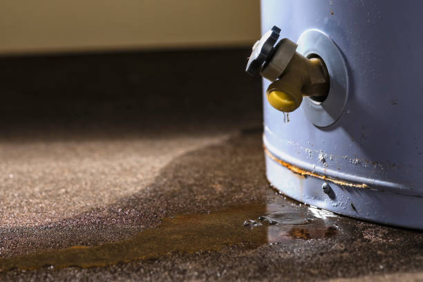 Best Water damage restoration near me  in Avonmore, PA