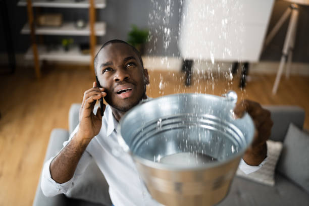 Best Water damage restoration experts  in Avonmore, PA