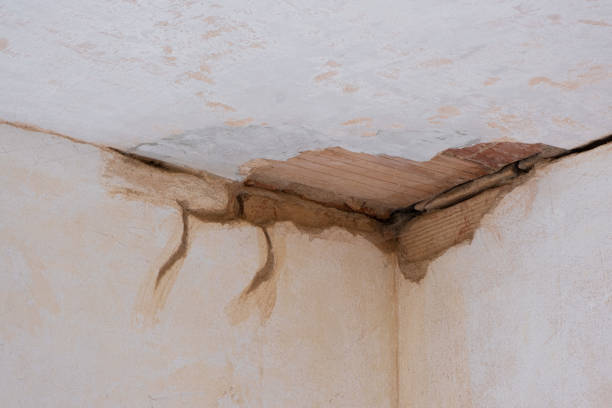 Best 24/7 water damage repair  in Avonmore, PA