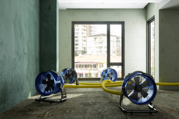 Best Professional water damage repair  in Avonmore, PA